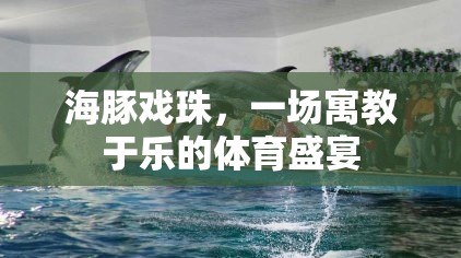 海豚戲珠，一場寓教于樂的體育盛宴