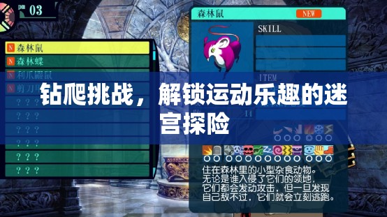 解鎖運(yùn)動(dòng)樂(lè)趣，鉆爬挑戰(zhàn)的迷宮探險(xiǎn)
