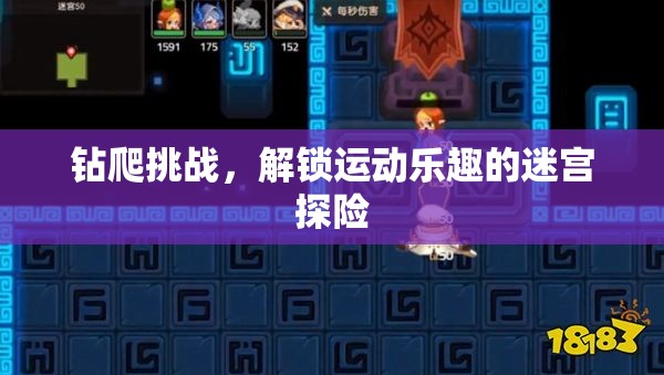 解鎖運(yùn)動(dòng)樂(lè)趣，鉆爬挑戰(zhàn)的迷宮探險(xiǎn)