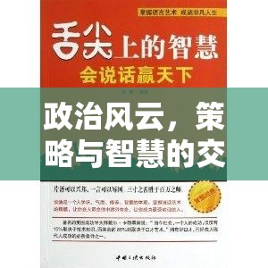 政治風(fēng)云，策略與智慧的交響曲——權(quán)謀天下游戲介紹