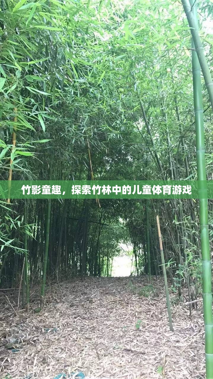 竹影童趣，探索竹林中的兒童體育游戲