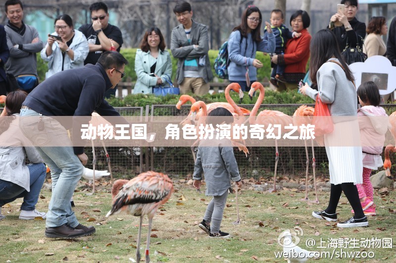 動物王國，角色扮演的奇幻冒險之旅