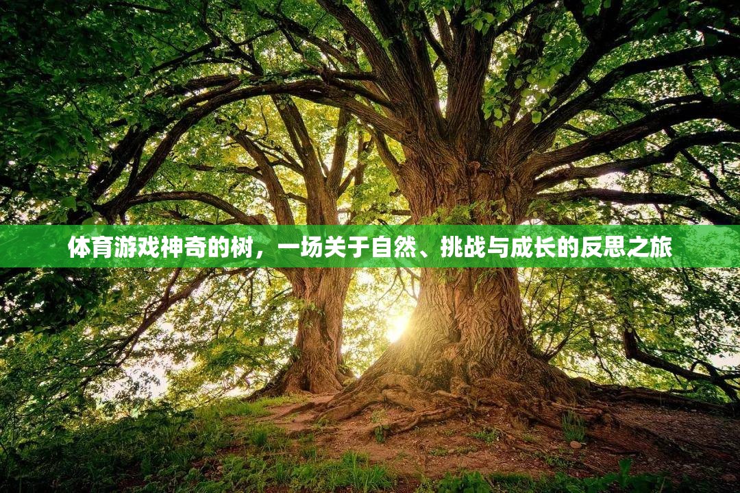 體育游戲神奇的樹，一場關(guān)于自然、挑戰(zhàn)與成長的反思之旅