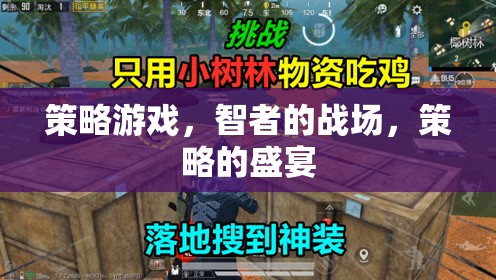 智者的戰(zhàn)場(chǎng)，策略游戲的策略盛宴