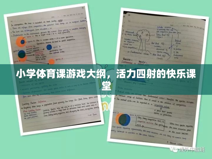 小學(xué)體育課游戲大綱，活力四射的快樂課堂