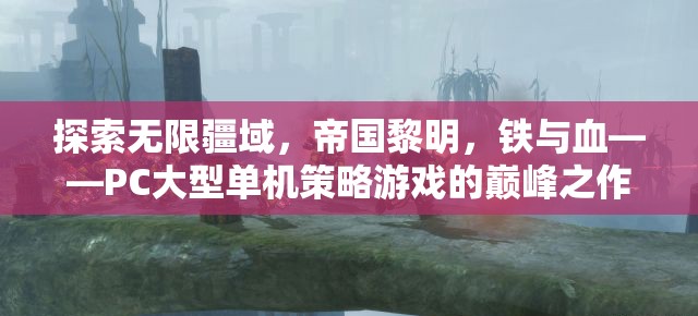 帝國黎明，鐵血征途——PC大型單機(jī)策略游戲的巔峰之作  第3張