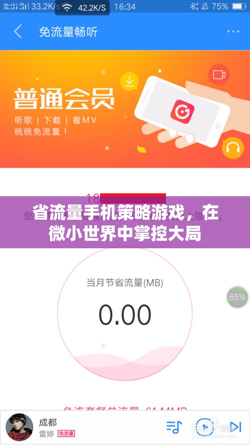 微世界掌控，省流量手機策略游戲