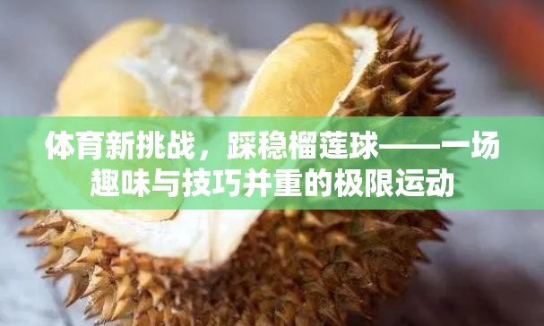 榴蓮球，體育新挑戰(zhàn)下的趣味與技巧并重