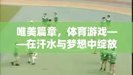 體育游戲，在汗水與夢(mèng)想中綻放的唯美篇章