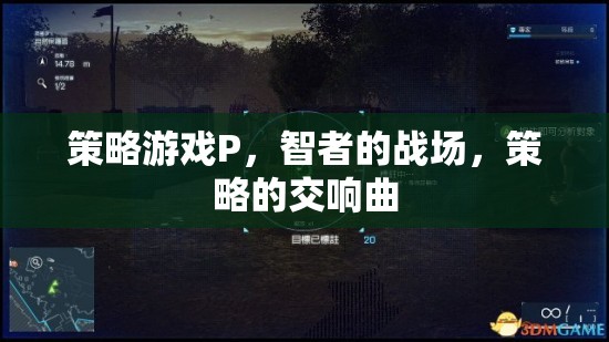 策略游戲P，智者的戰(zhàn)場，策略的交響曲