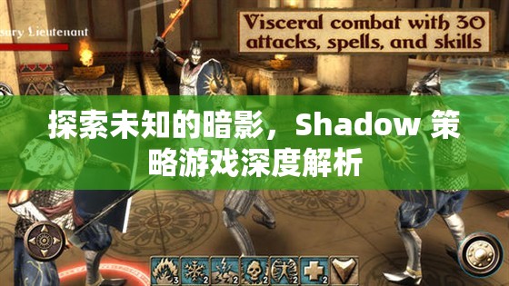 Shadow 策略游戲，探索未知的暗影深度解析