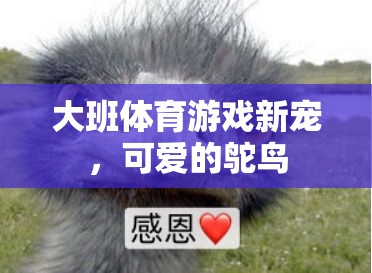 大班體育新寵，鴕鳥的歡樂運(yùn)動(dòng)時(shí)光