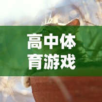 狼來(lái)了，高中體育游戲中的魅力與挑戰(zhàn)  第3張