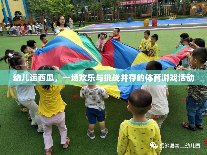 幼兒運西瓜，一場歡樂與挑戰(zhàn)并存的體育游戲活動