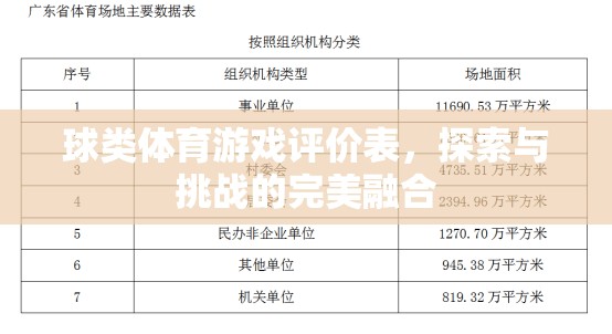 球類體育游戲評(píng)價(jià)表，探索與挑戰(zhàn)的完美融合