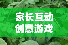 家長(zhǎng)互動(dòng)創(chuàng)意游戲，夏日清涼吃西瓜大賽