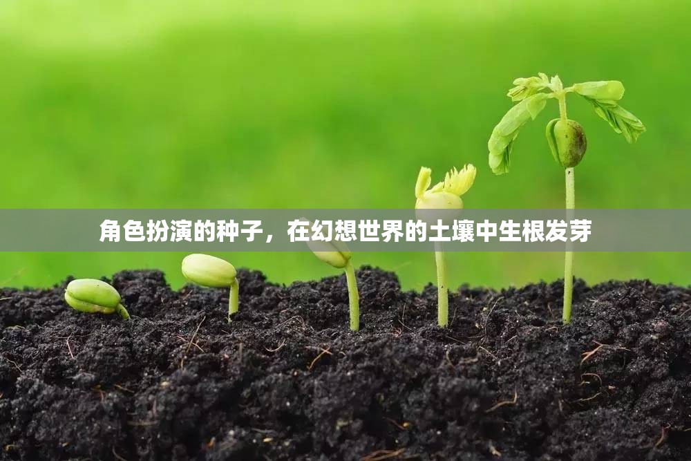 幻想之土，角色扮演的種子生根發(fā)芽