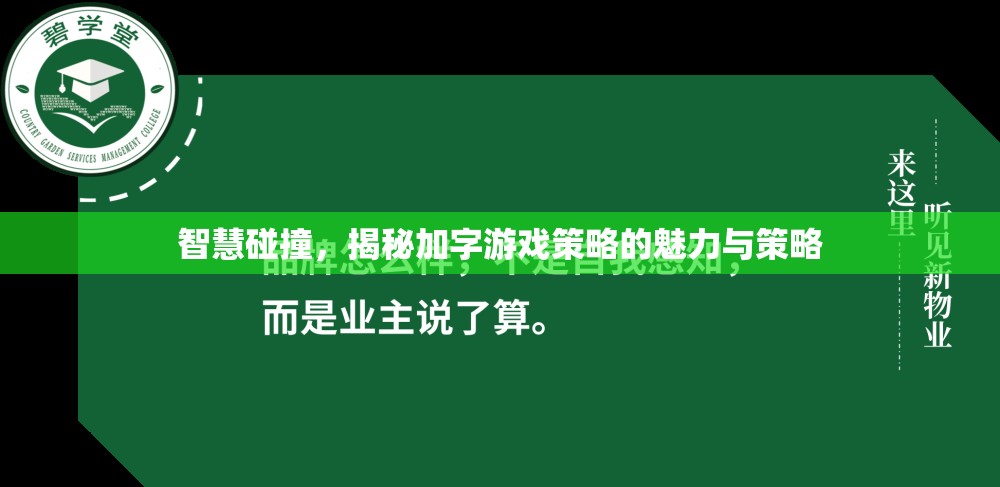 智慧碰撞，揭秘加字游戲策略的魅力與策略