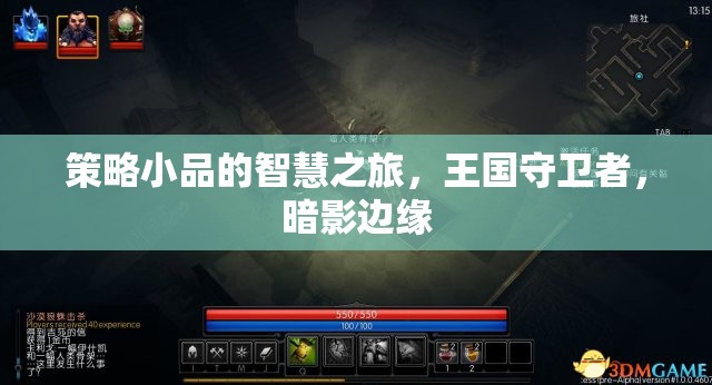 策略小品的智慧之旅，王國(guó)守衛(wèi)者與暗影邊緣的較量