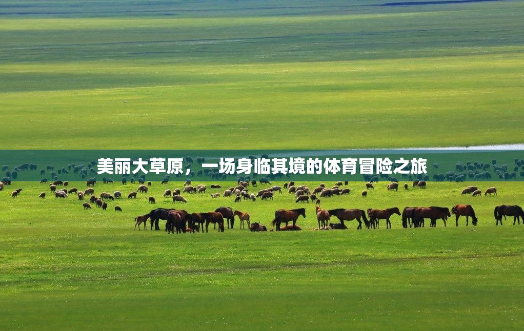 美麗大草原，一場身臨其境的體育冒險之旅