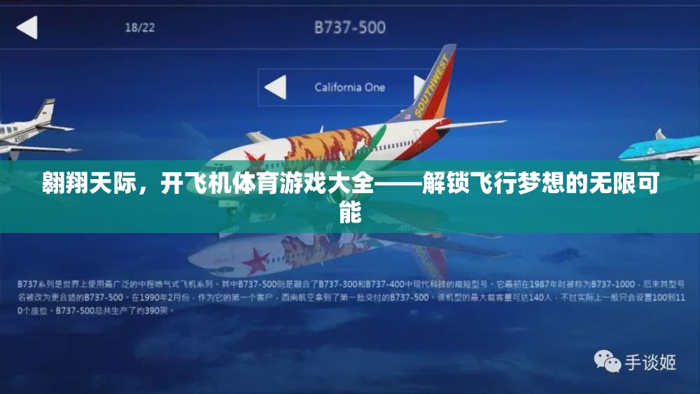 解鎖飛行夢想，翱翔天際的飛機(jī)體育游戲大全