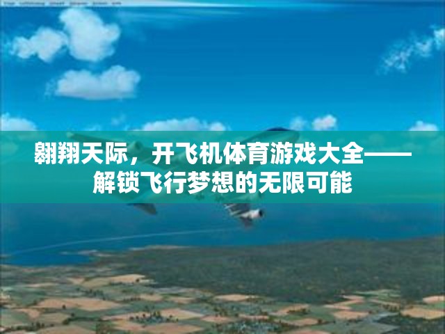 解鎖飛行夢想，翱翔天際的飛機(jī)體育游戲大全