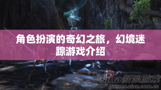 幻境迷蹤，一場角色扮演的奇幻之旅  第1張