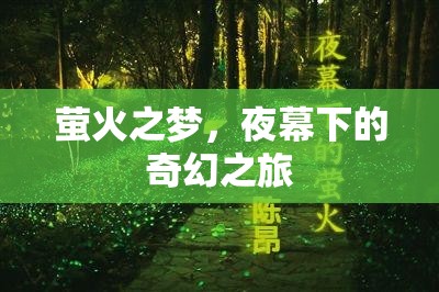 螢火之夢，夜幕下的奇幻之旅