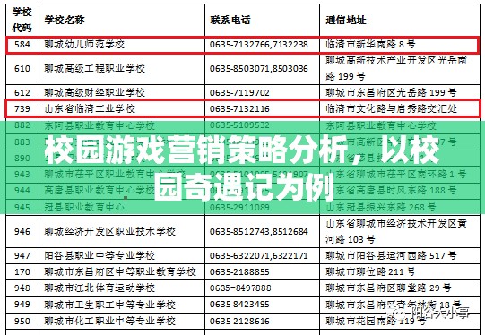 校園奇遇記，游戲營銷策略的深度剖析