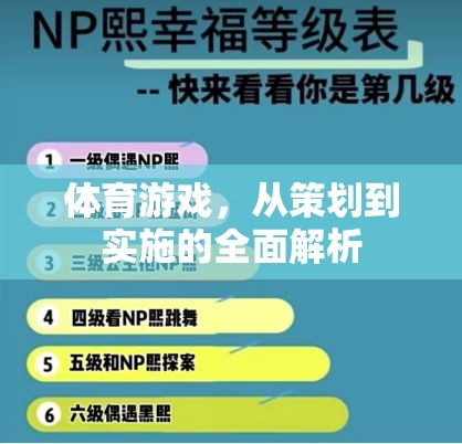 體育游戲，從策劃到實施的全面解析  第1張