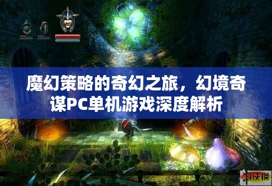 魔幻策略的奇幻之旅，幻境奇謀PC單機游戲深度解析