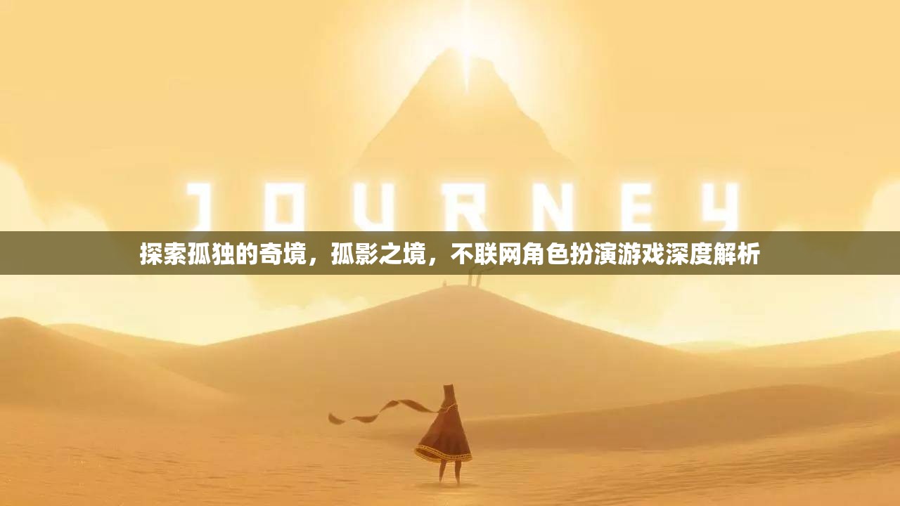 孤影之境，探索不聯(lián)網(wǎng)角色扮演游戲的孤獨奇境  第3張