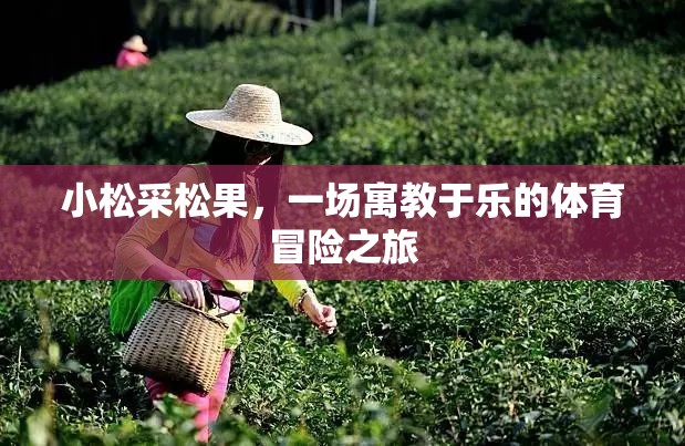 寓教于樂，小松的松果采集體育冒險之旅