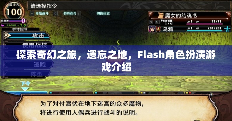 探索奇幻之旅，遺忘之地的Flash角色扮演游戲  第2張