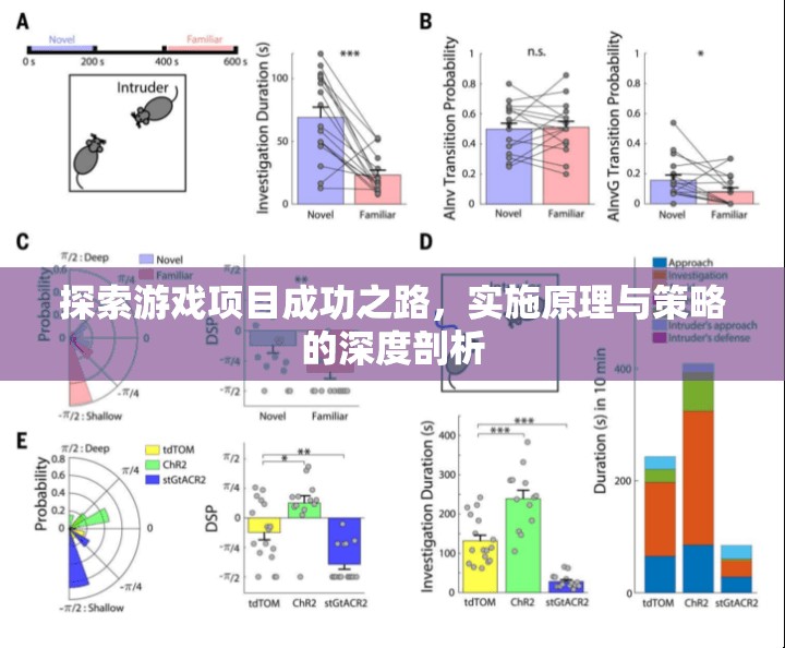 游戲項目成功之路，實施原理與策略的深度剖析