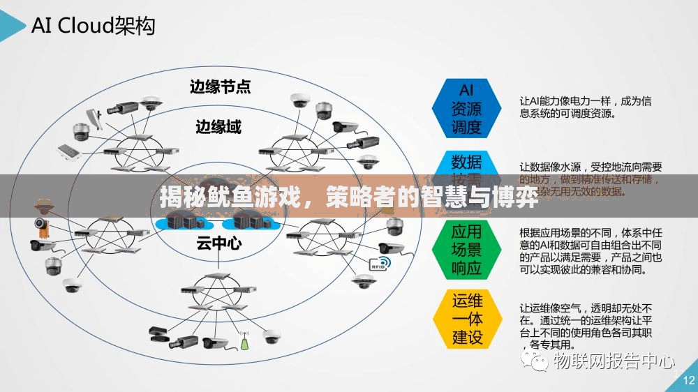 魷魚游戲，策略者的智慧與博弈揭秘