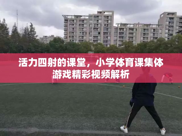 小學體育課集體游戲，活力四射的精彩視頻解析