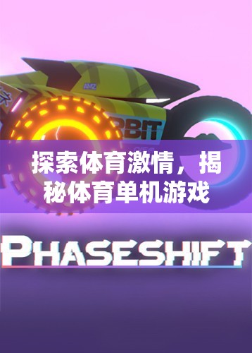 探索體育激情，揭秘體育單機(jī)游戲破解版下載的魅力與風(fēng)險(xiǎn)