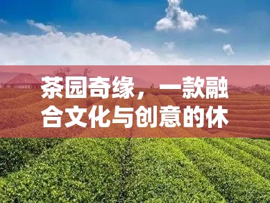 茶園奇緣，文化與創(chuàng)意的休閑游戲之旅