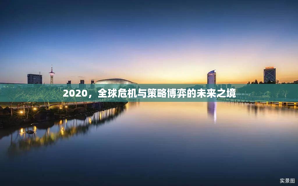 全球危機與策略博弈，2020年的未來之境