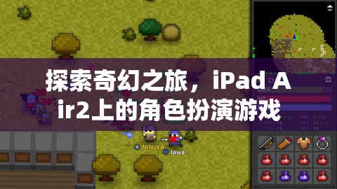 探索奇幻之旅，iPad Air2上的角色扮演游戲