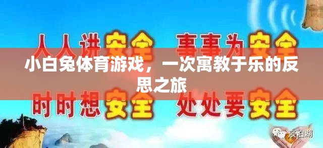 小白兔體育游戲，一次寓教于樂的反思之旅