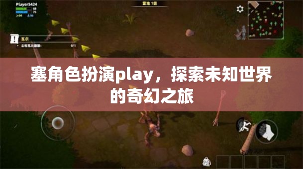 塞角色扮演play，探索未知世界的奇幻之旅