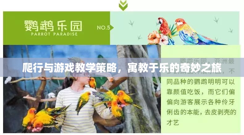 爬行與游戲教學策略，寓教于樂的奇妙之旅