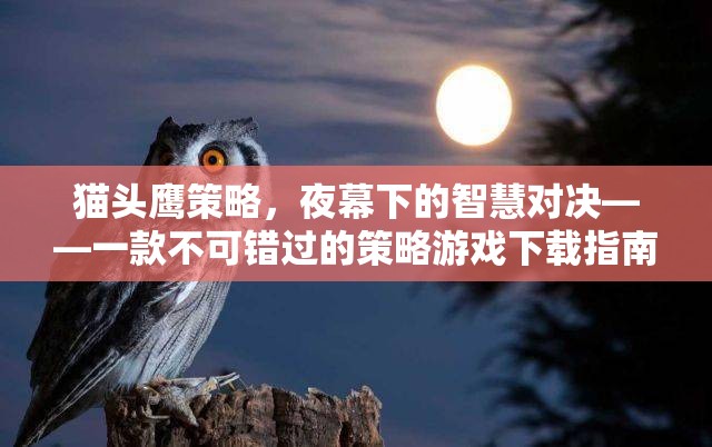 夜幕下的智慧對(duì)決，貓頭鷹策略游戲下載指南