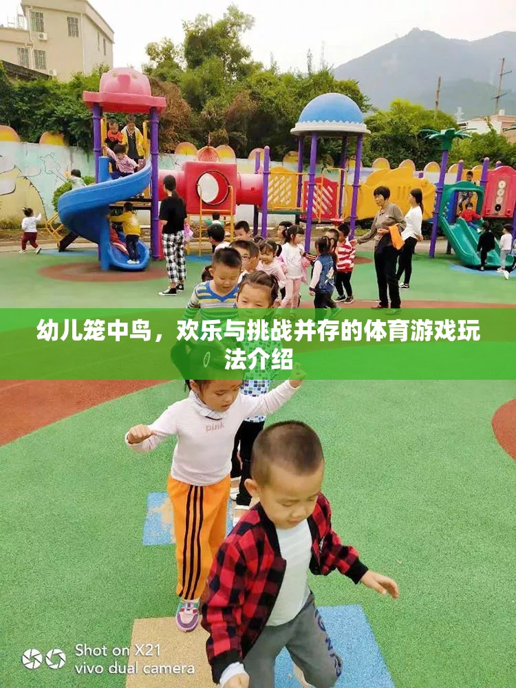 籠中鳥，幼兒體育游戲中的歡樂與挑戰(zhàn)