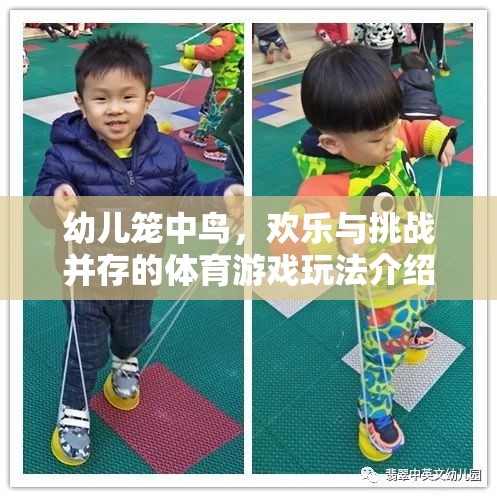 籠中鳥，幼兒體育游戲中的歡樂與挑戰(zhàn)