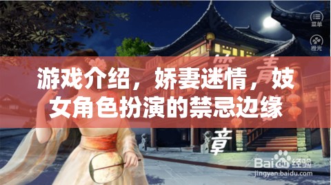 游戲介紹，嬌妻迷情，妓女角色扮演的禁忌邊緣