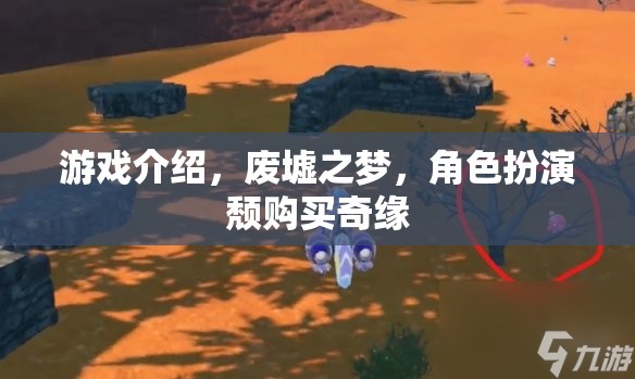 廢墟之夢，角色扮演的頹廢奇緣
