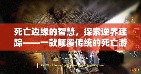 死亡邊緣的智慧，探索逆界迷蹤——一款顛覆傳統(tǒng)的死亡游戲創(chuàng)意